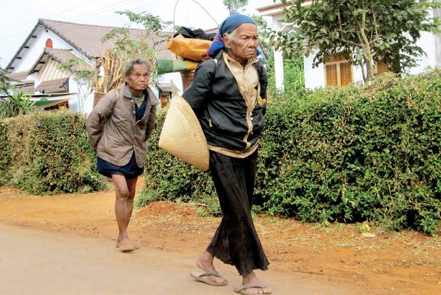 hai cụ già người Ê đê đi gùi củi kiếm sống.jpg